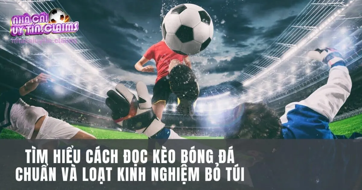 Hướng Dẫn Cách Đọc Kèo Bóng Đá Cho Newbet Làng Bóng